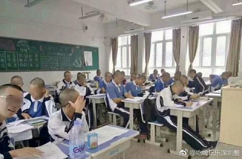 普宁职校爆料新闻视频,揭秘校园内幕 第3张 普宁职校爆料新闻视频,揭秘校园内幕 第3张